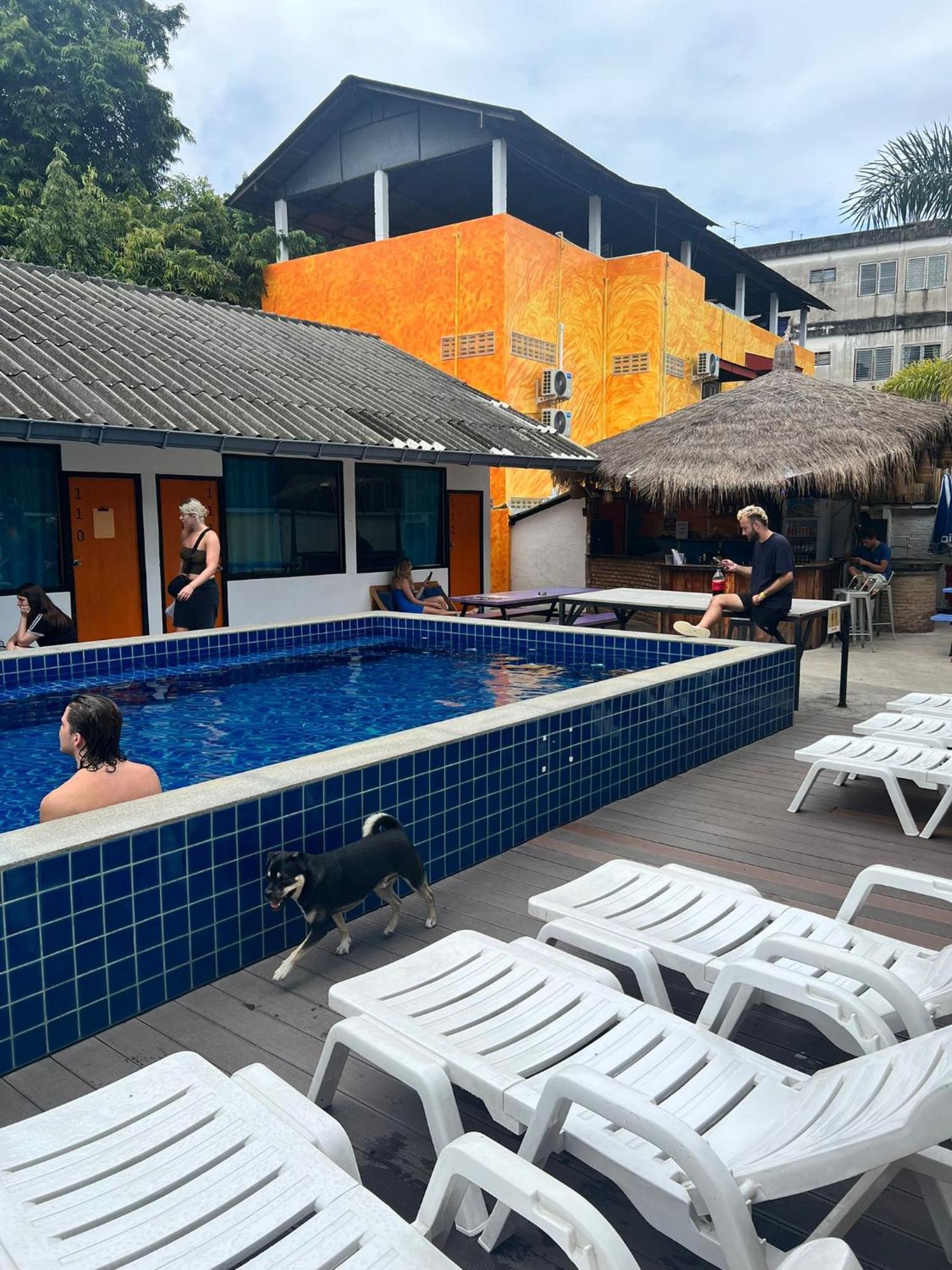 Revolution Chiang Mai - Old Town Hostel Exterior foto